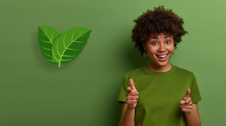 Développement durable et Green IT